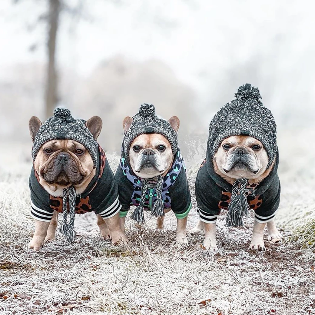 

ZOOBERS Warm Pet Dog Knitted Hat Dog Pom Hat Winter Warm Pet Hat Head Wear Snood Headwear For Dog Pet French Bulldog
