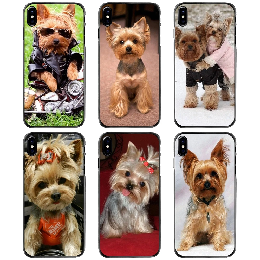 

Yorkshire Yorkie dog Hard Phone Cover Case For Apple iPhone 11 12 13 14 Pro MAX Mini 5 5S SE 6 6S 7 8 Plus 10 X XR XS