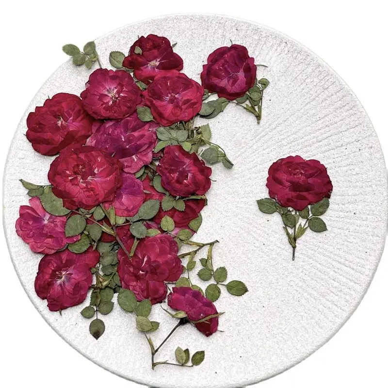 

New Rose on Stems Pressed Flower For Wedding Decoration Gift Cards Bulk Packing 60Pcs