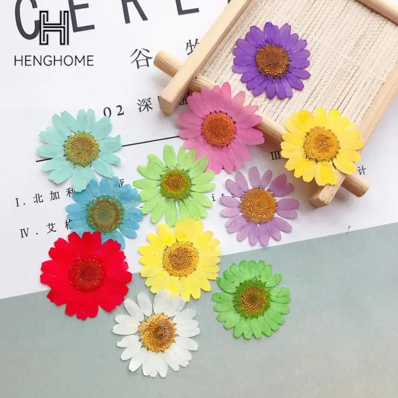 

12Pcs/Bag Colorful Daisy Artificial Dried Flower Pendant Necklace Resin Jewelry Making DIY Crafts Art Xmas Party Accessories
