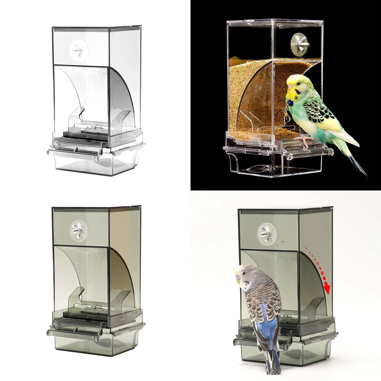 Automatic Feeder for Parrots with Perch And Clear Food Holder Budgerigar Finch