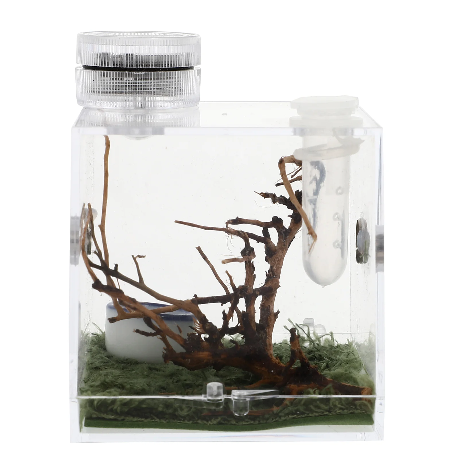 

Habitat Box Spider Cage Reptile Tarantula Breeding Snail Terrarium Feeding Tank Jumping Carrier Enclosure Critter Keeper Insect