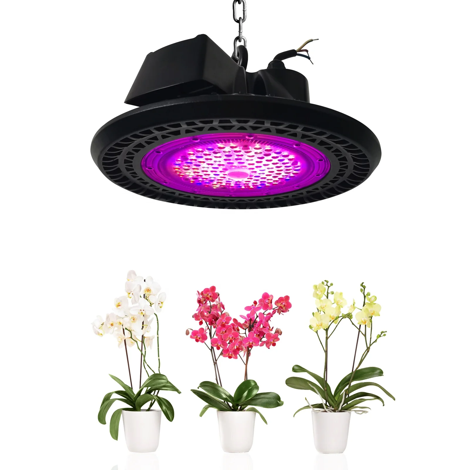 For Commercial Plant
