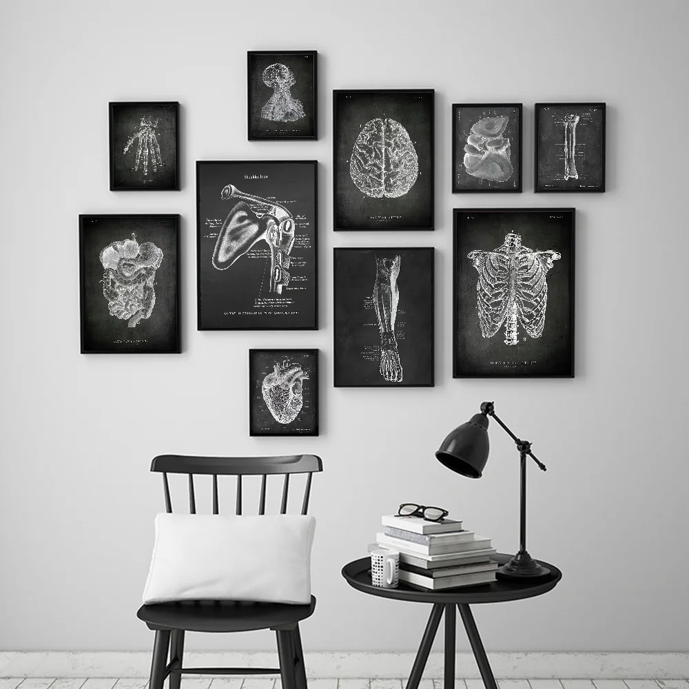 Анатомический скелет классная доска рисунок сделай сам липкий постер белая