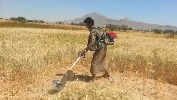 

petrol brush cutter