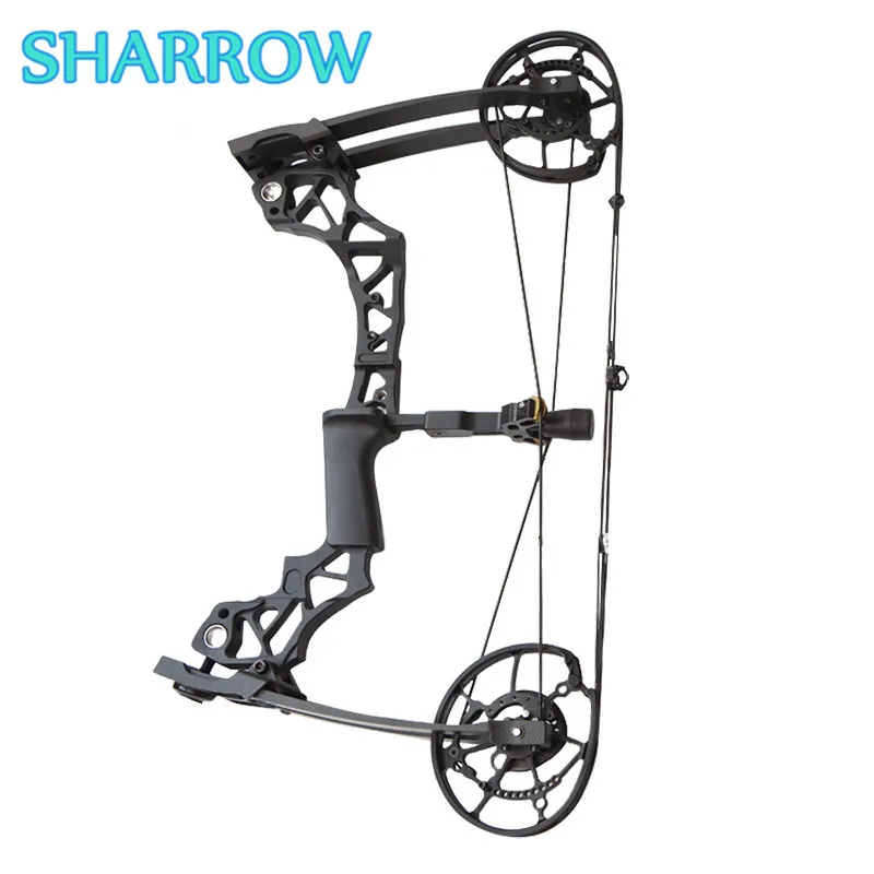 

40-60lbs Archery Catapult Steel Ball Bowfishing Dual-use Compound Bow Adult Adjustable for Outdoor Hunting Shooting Training ACC