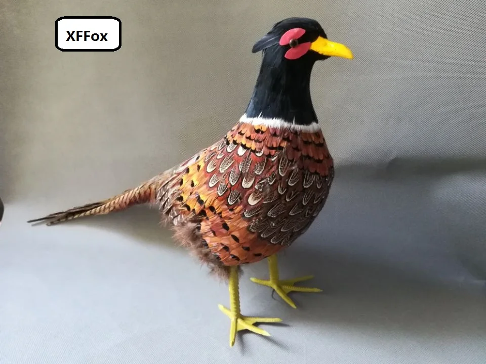 real life pheasant model foam&feather simulation colourful bird gift about 60x40cm  d0132
