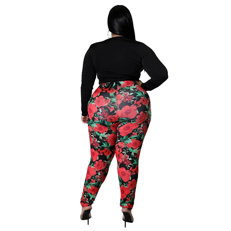 Plus Size Setup Women Clothing Two Piece Set Sexy 2 Piece Outfits Women Elastic Waist Slim Fit V-Neck Printing Short Long Sleeve