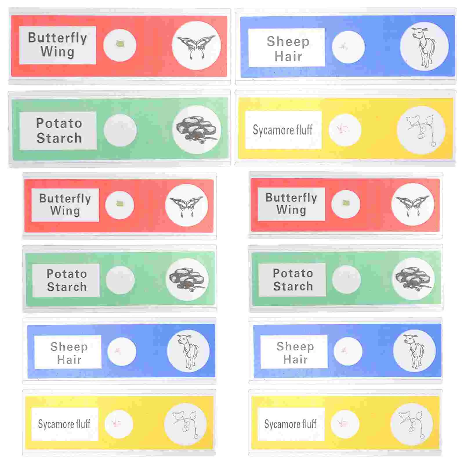 

12 pcs Microscope Slides with Specimens Prepared Slides Microbiology Microscope Slides for Kids