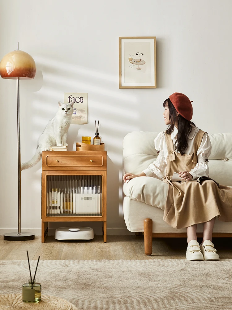 

Шкаф для хранения TLL из массива дерева, подметание полов, робот-шкаф для хранения