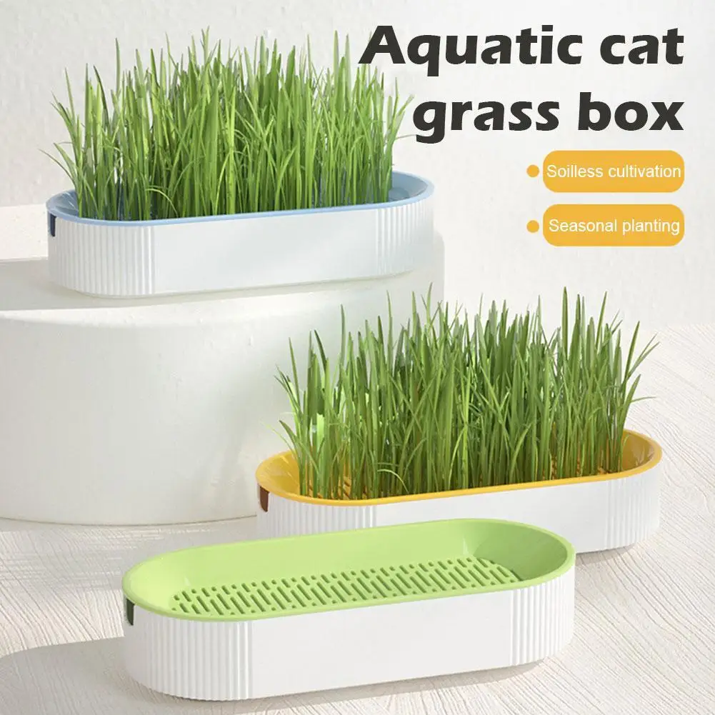 

Cat cat snack cat mint planting hydroponic box cat grass pot color contrast hydroponic cat grass box set Catgrass planting bowl