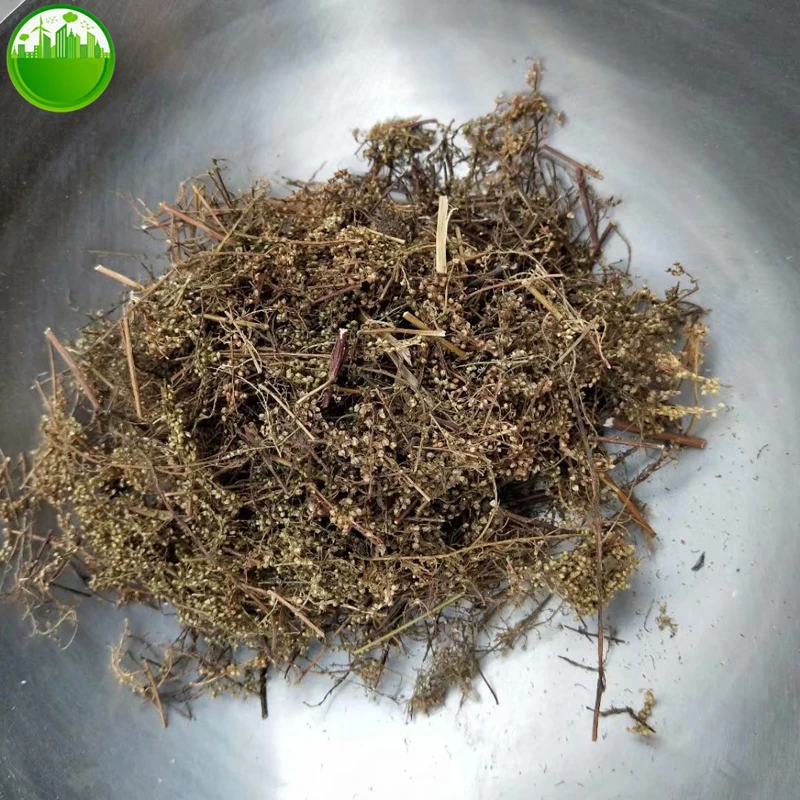 

Artemisia Annua,Artemisia Odora Dry Leaves Improve Kidney Function