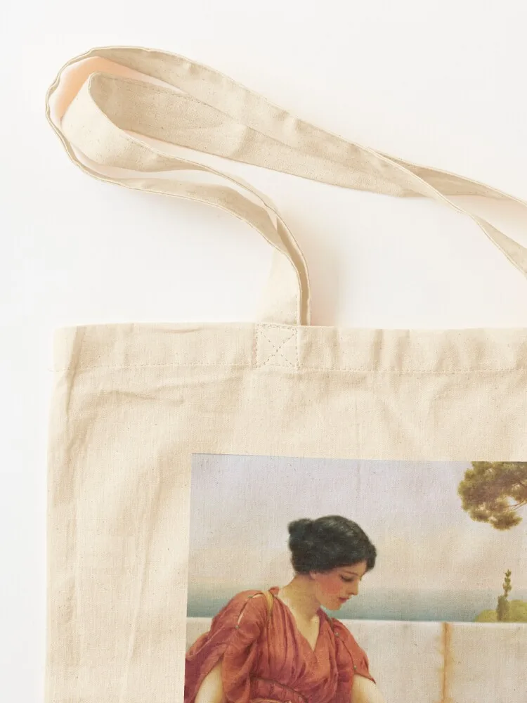 John William Godward - The Favorite Tote Bag женская сумка для покупок Сумка Подарочные пакеты