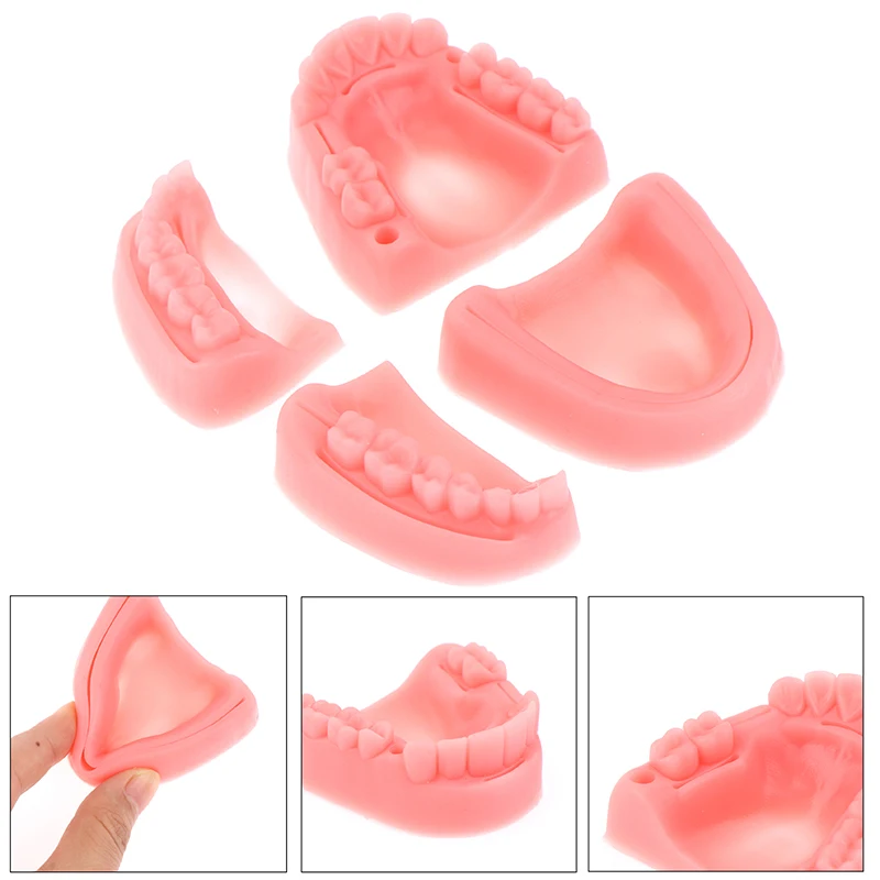 

4pcs/set Dental Simulation oral suture model Gum suture teaching training equipment skill practice