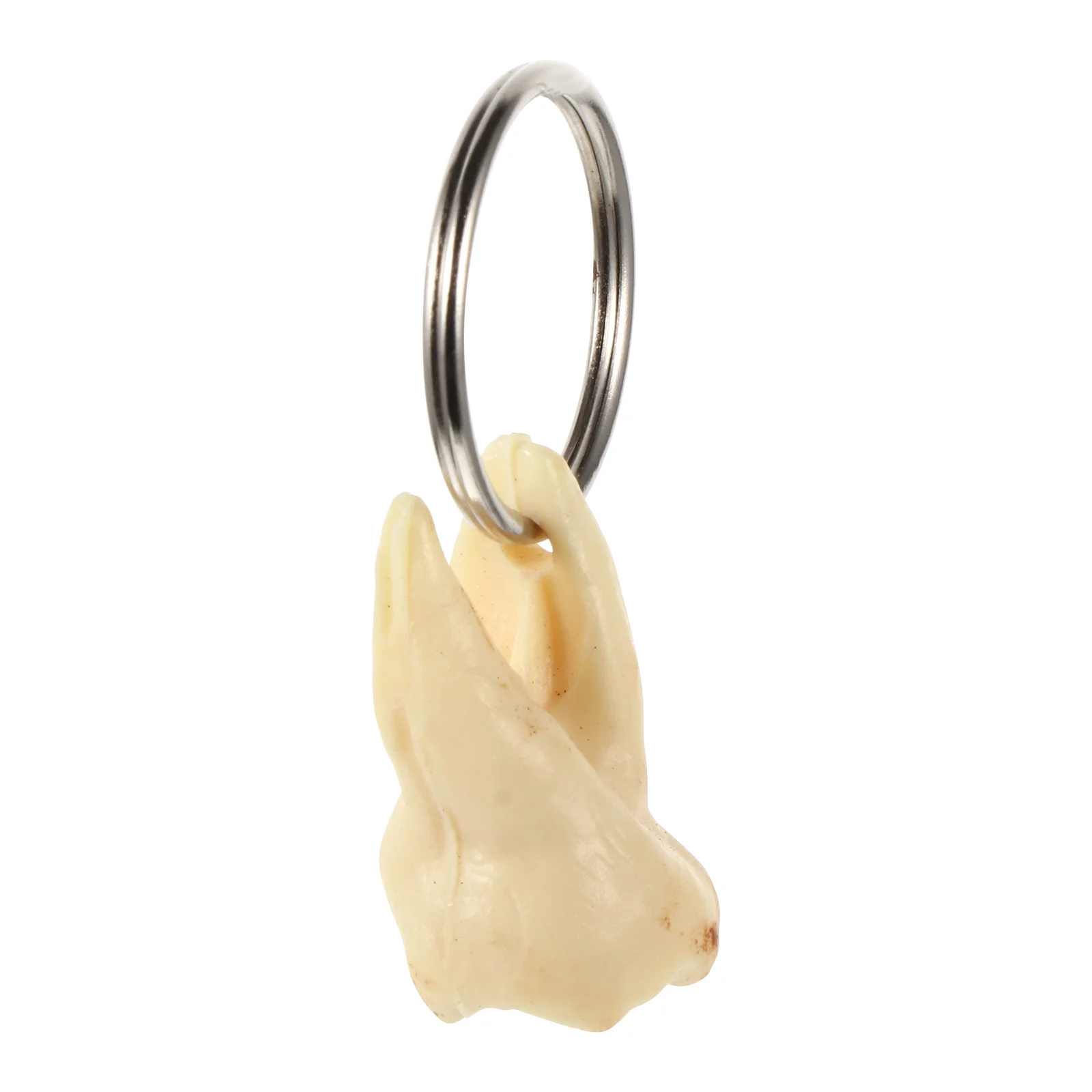 

Keychain Ring Keyhygienistgift Retirement Shaped Keyring Inspirational Giftsdentist Assistant Nurse Studentsteeth Molar