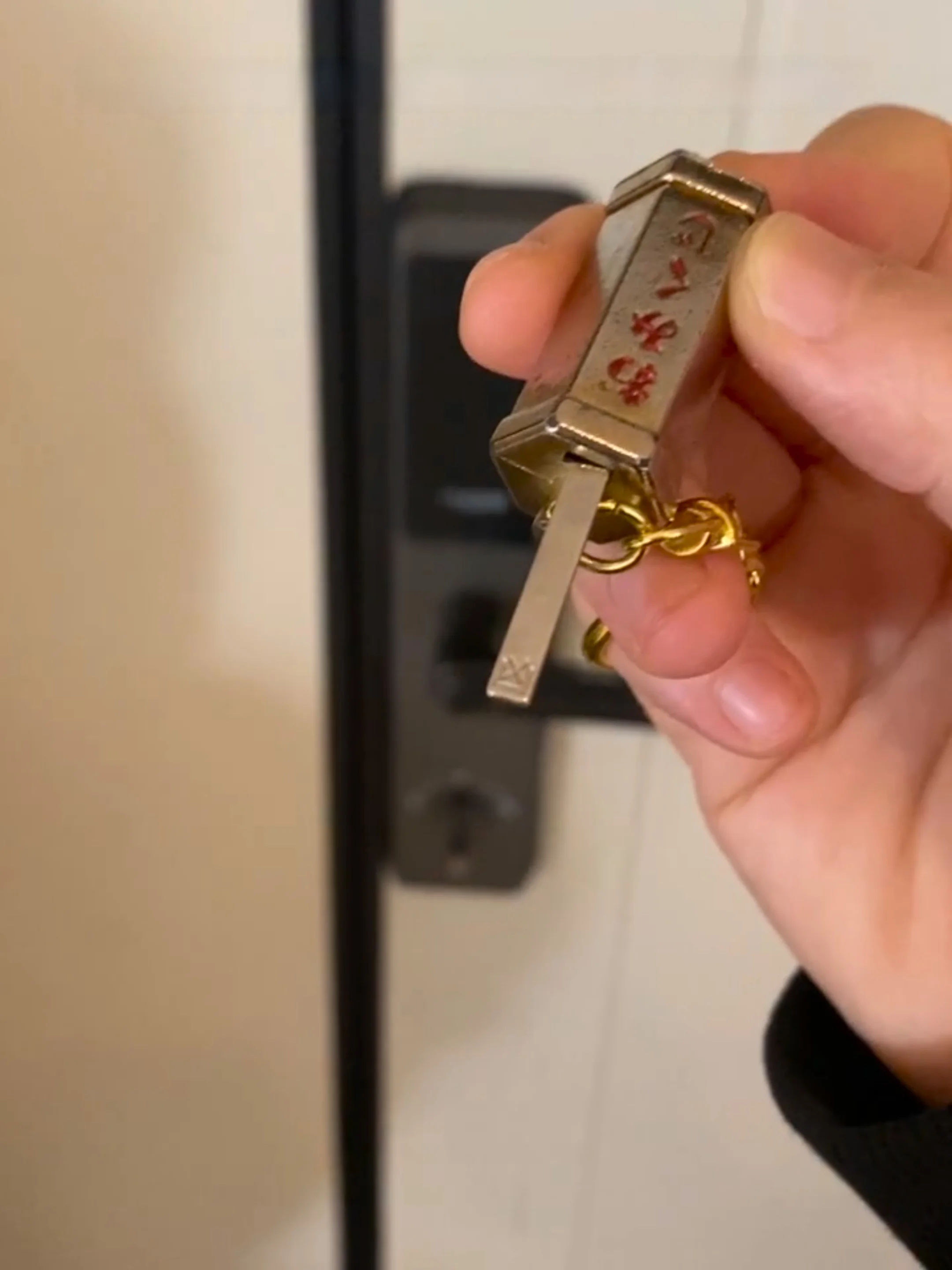 Брелок для ключей небольшой кулон новинка 2024 металлический держатель Visa удача