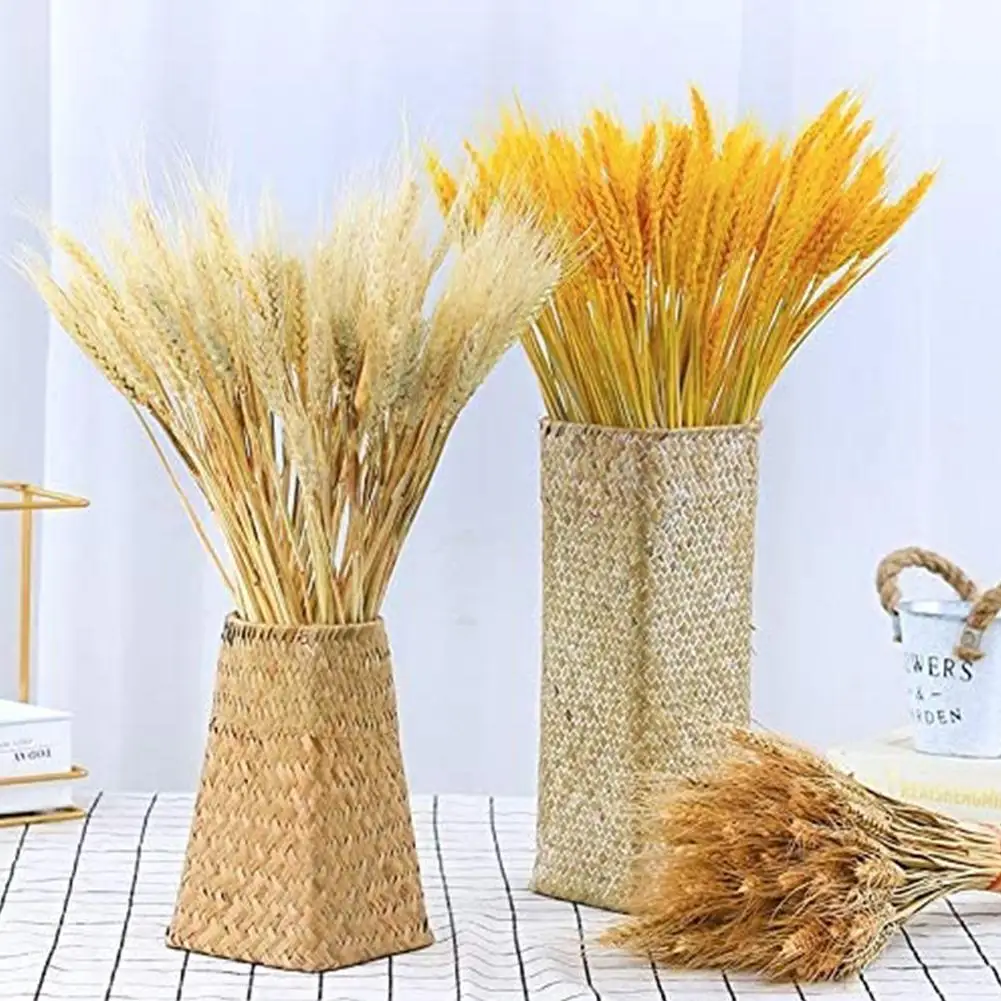 

10pcs Natural Wheat Ear Dried Flower Immortal Real Flower Bouquet Air-dried Natural Decoration Christmas Decoration Wedding