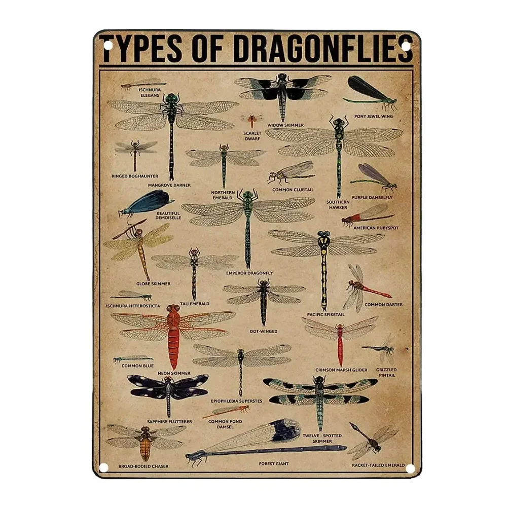 

Типы стрекоз, металлические знаки, знания о стрекозах, популярное научное руководство, Декор стен комнаты, клуба, фермы