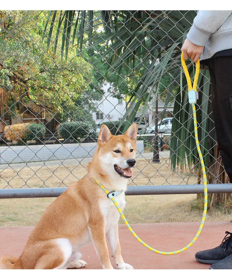 

TUFF HOUND,P-type adjustable nylon leash with collar for small Medium big dogs,Prevent dogs from bursting,Night reflection