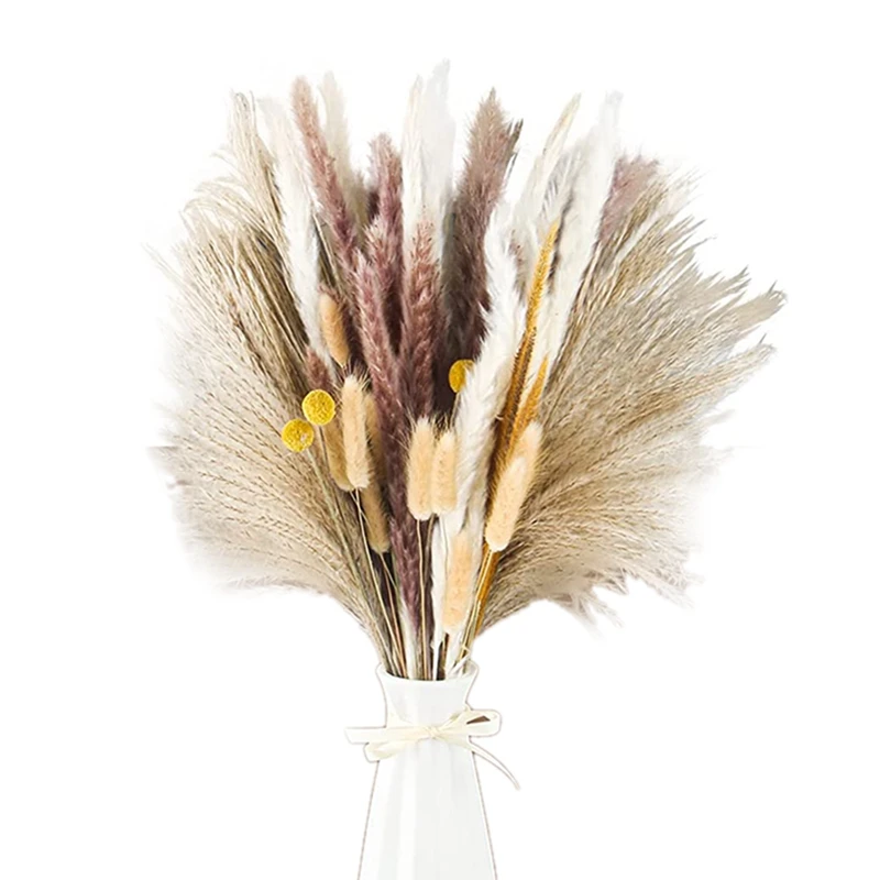 

Pampas Grass Pompous Grass Dried Pampas Grass Boho Flowers Pampas Grass Included 73 Pcs Natural Pampas Grass