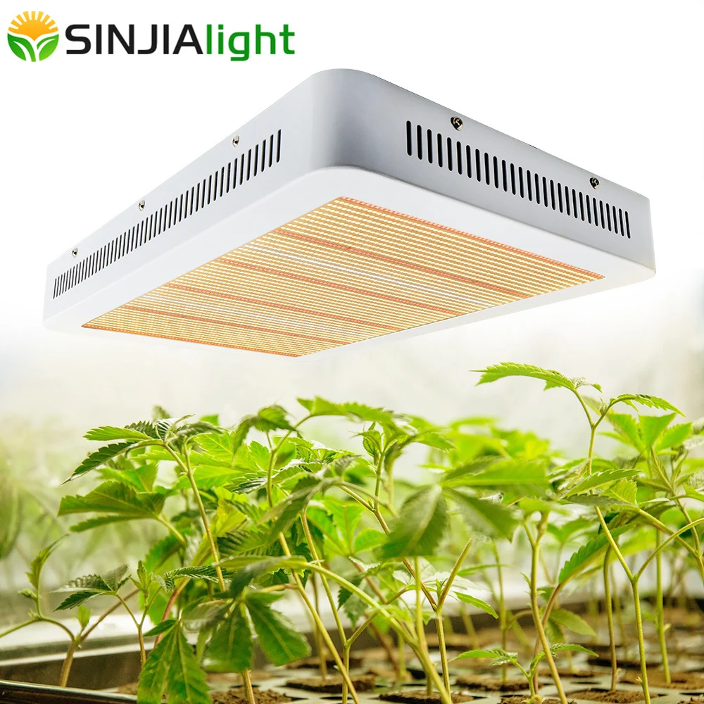 3000W Plant Growth Lamp 3366 LED Grow Light IR Warm Full Spectrum Fitolamp for Indoor Greenhouse Grow Tent High Power 220V