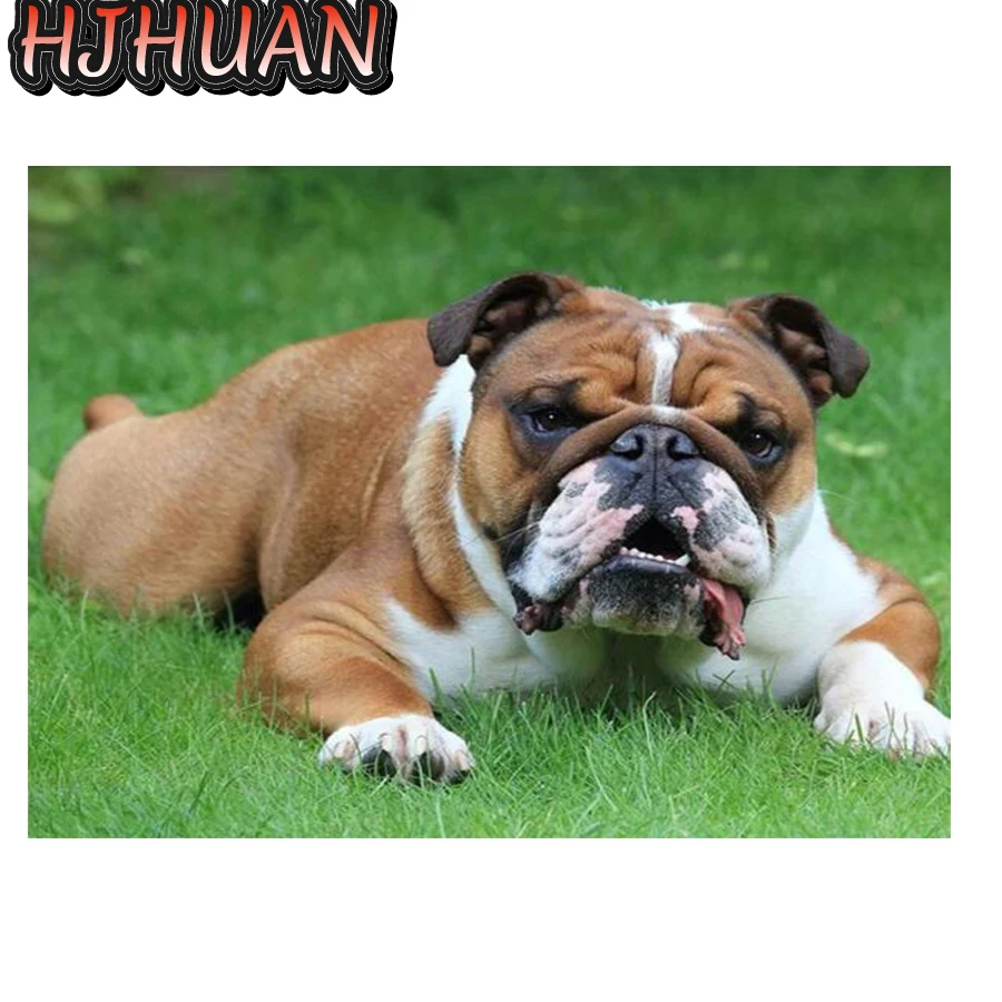 

Новинка 5D круглая алмазная живопись собака животное Сделай Сам Алмазная вышивка крестиком алмазная живопись Вышивка дома строительный подарок