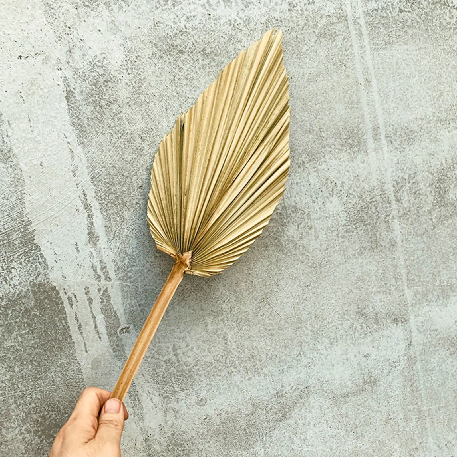 Искусственный веер листья подсолнечника Пальмовые Листья сушеный цветок окно