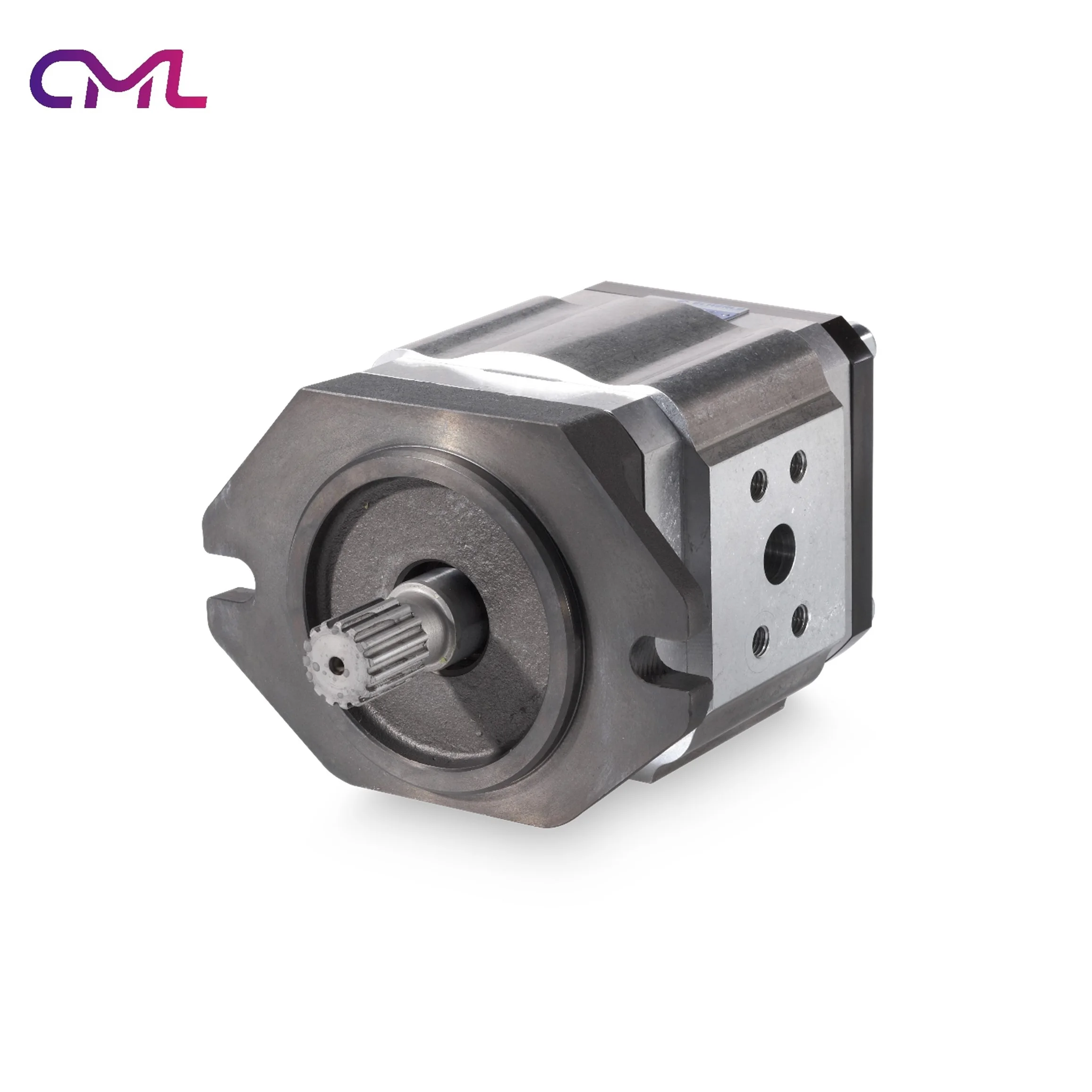 Внутренний шестеренный насос Eckerle Гидравлический EIPC5-100RA23-10