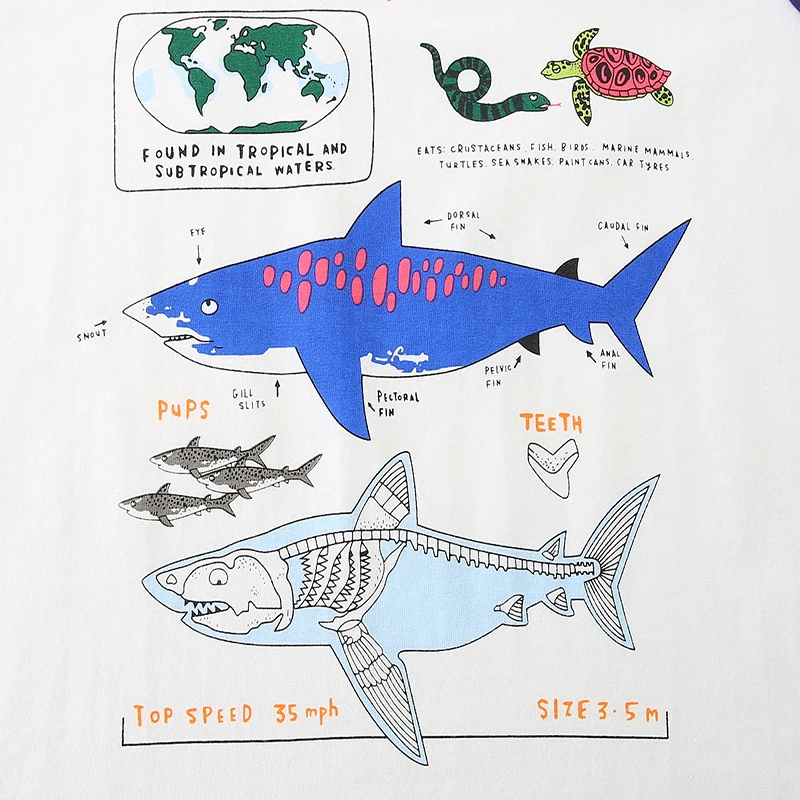 Футболка Little Maven для мальчиков с длинными рукавами и мультяшным рисунком