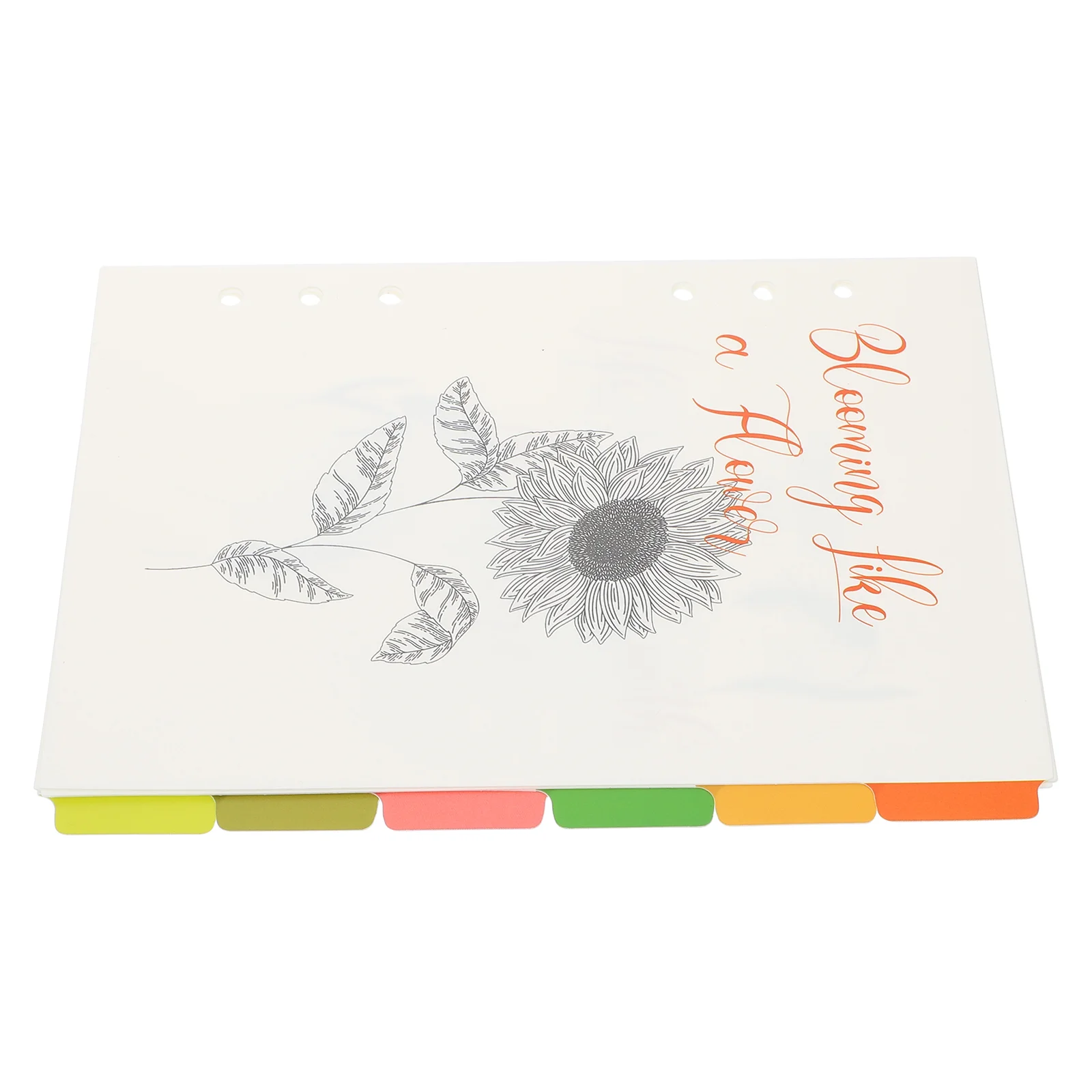 

Dividers Page Tabs Binder Leaf Loose Notebook Labels Classification Classified Paper Separators Filler Plastic Full Sheet