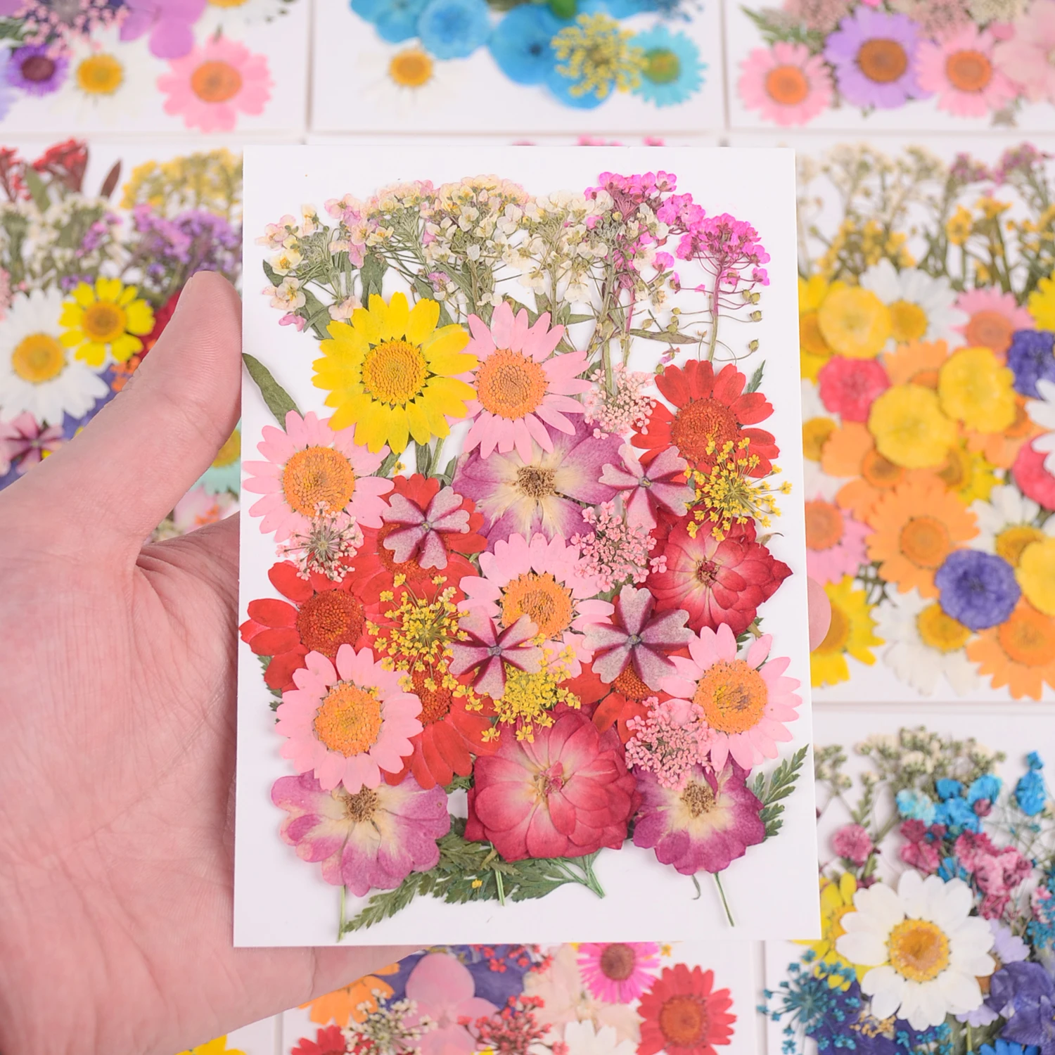 40Pcs/Bag Colorful Flower Field Dried Flowers Natural Plant Pressed Flower Specimen Rose Daisy Lace Resin Mold Material Package