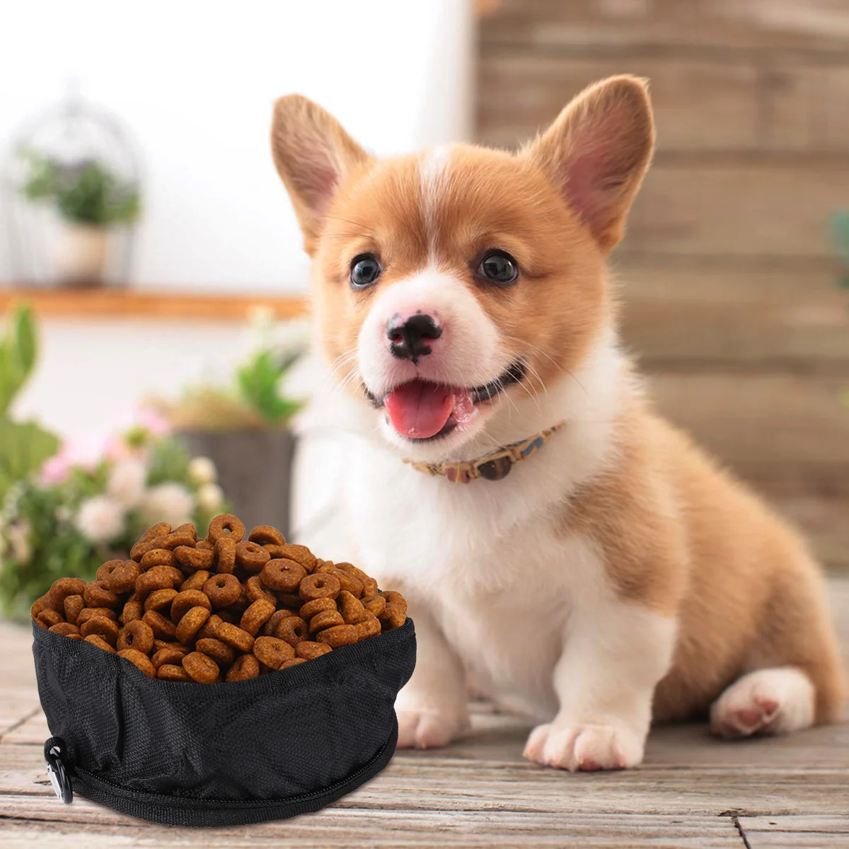 

Bowl Dog Collapsible Bowls Travel Waterpet Portable Foldable Catdogsoutdoor