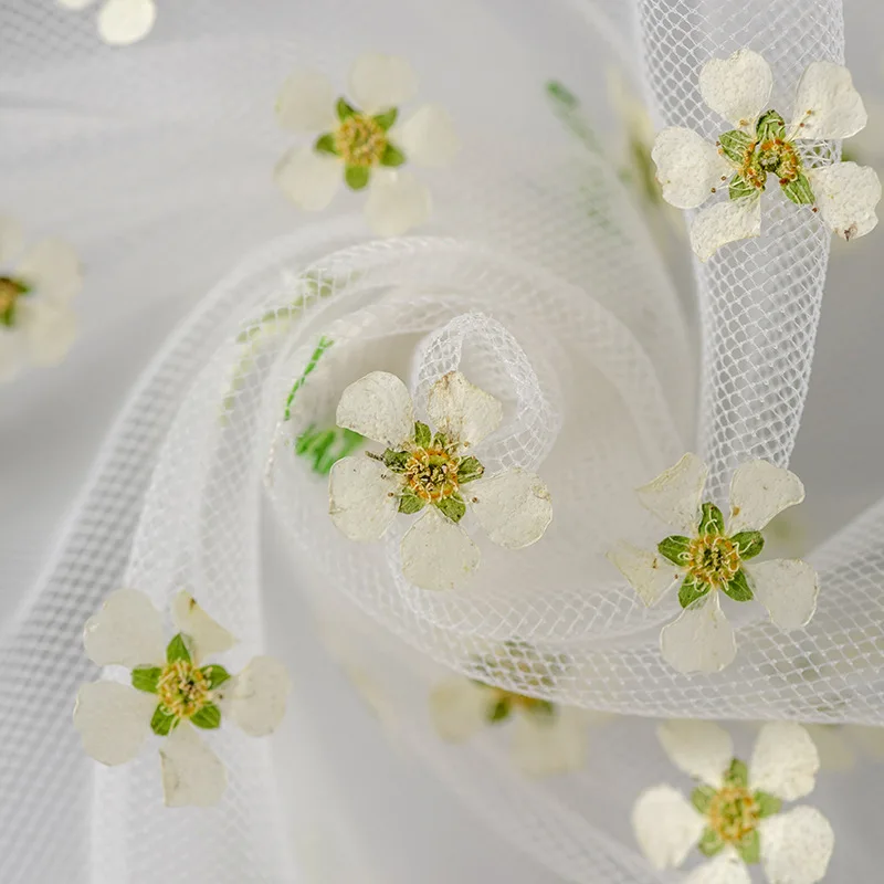 Цветочный гербарий для дизайна ногтей