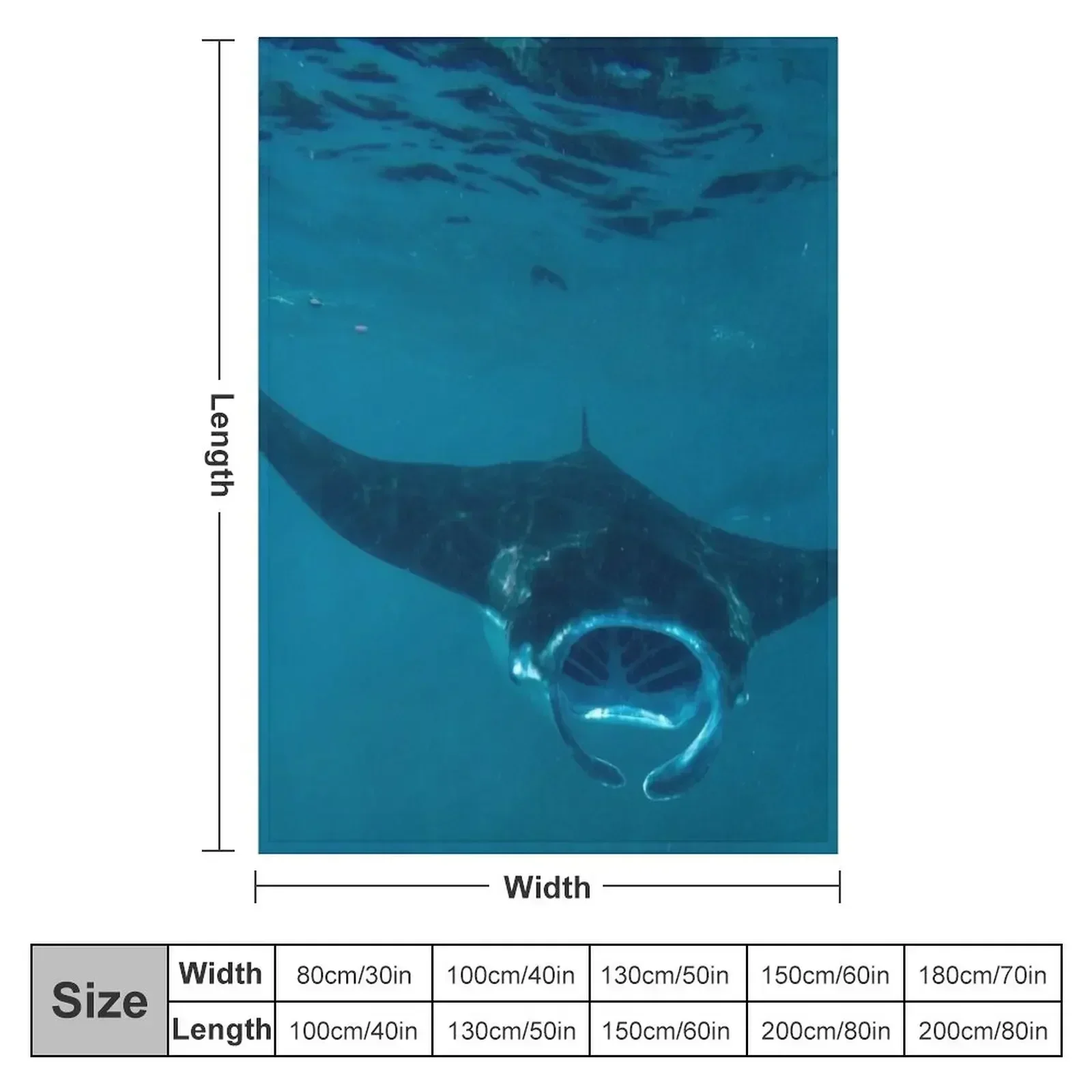Ciekawy Manta Ray At Crystal Bay Nusa Penida Bali пледы диваны пикник для детских одеял