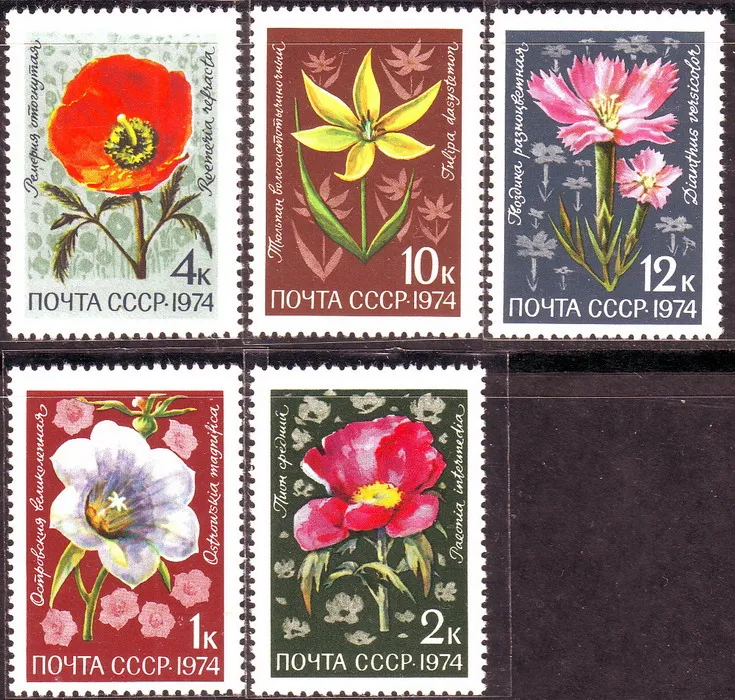 

5Pcs/Set New USSR CCCP Post Stamp 1974 Central Asian Flower Tulip Carnation Postage Stamps MNH