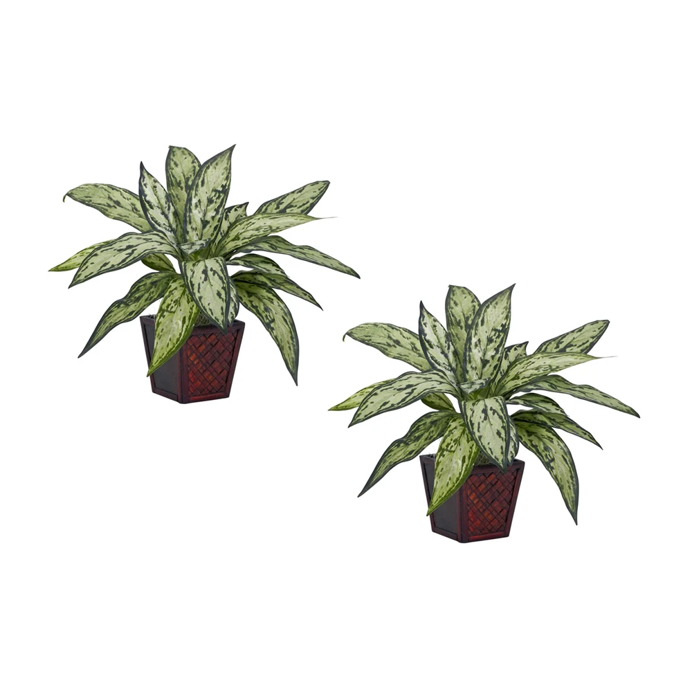 

12" Plastic Silver Queen Artificial Plant (Set of 2), Green