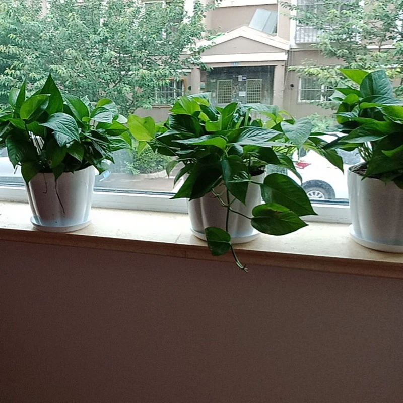 Акция! 16 шт. пластиковые плантаторы для саженцев |