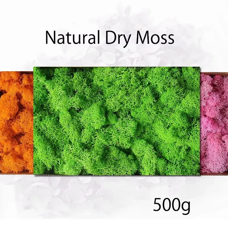 

500g Natural Dry Moss Simulation Plants Eternal Life Home Decor Wall DIY Flower Material Mini Garden Micro Landscape Fake Moss