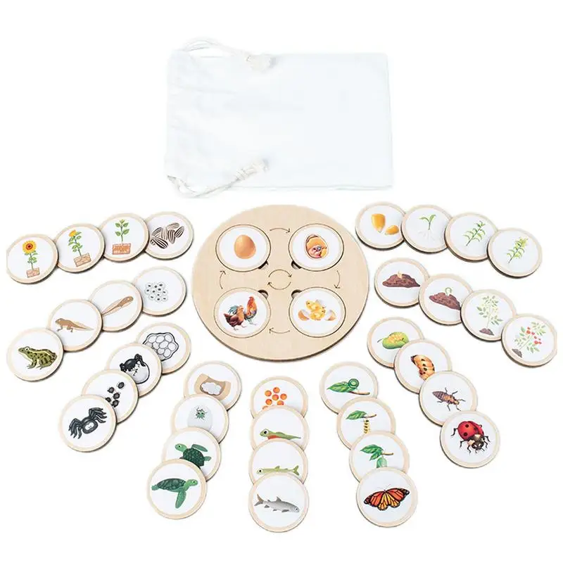 

Montessori Life Cycle Tray Wood Animal Plant Growth Cycle Sticker Puzzles Toy Educational Toy For 3 To 6 Years Old Preschool