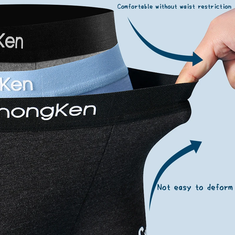 Brand Male Underwear Men's Boxers Panties Mens Boxershorts Underpants Cotton High Quality Sexy Homme Boxer For Men Wholesale 365