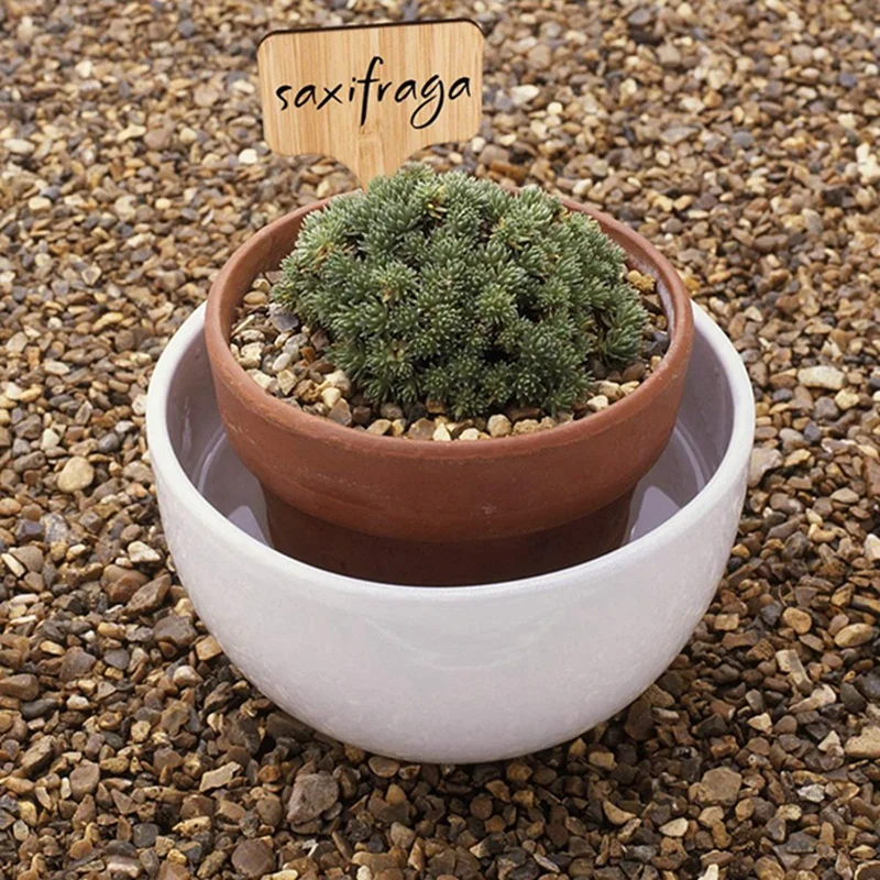 50 шт. Т-образные этикетки для растений