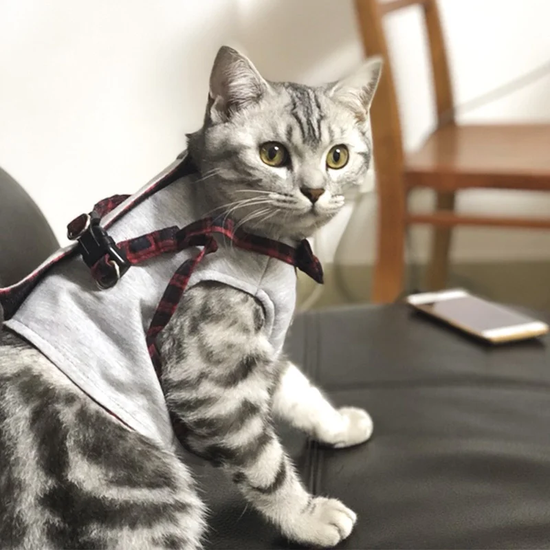 

traction Cat rope and cat walking rope vest-style cat walking artifact special for outing kitten rope anti-stroke strap home