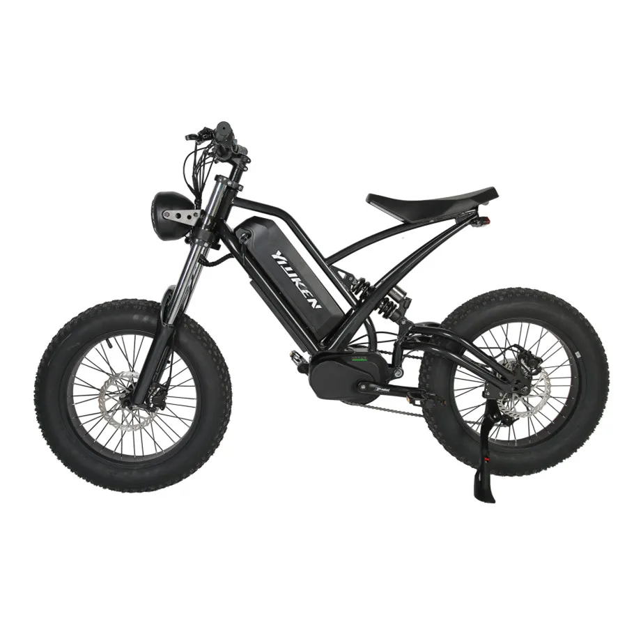 

2021 New Dual Battery 48V 1000W belt mid drive motor fat tire electric bike mountain ebike fat bike electric bicycle