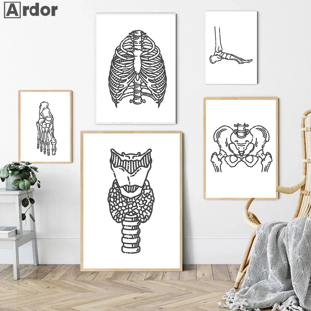 Абстрактная живопись человеческой анатомии Череп кость скелет сердце легкие