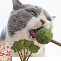 cats candy natural catnip toys ball matatabi cat snacks stick edible bolus teeth cleaning bite resistant toys cat accessories
