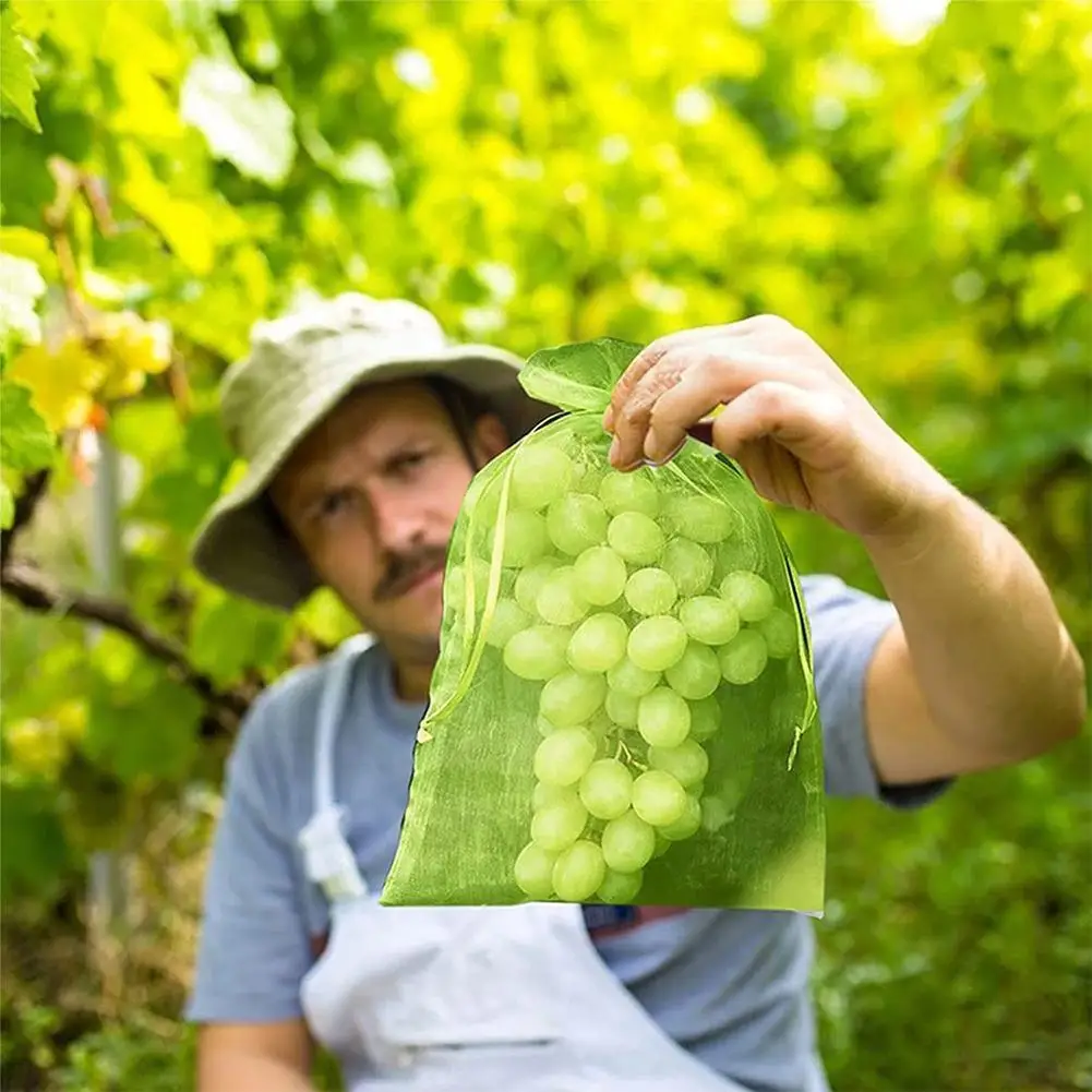 

Пакеты для защиты фруктов, сетчатые садовые мешки для борьбы с вредителями, 50 шт., A9O7