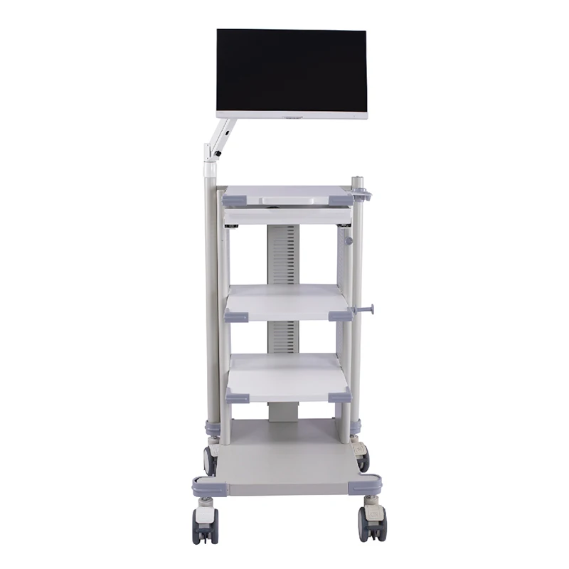 

The End of the Feedback Very Low Price Endoscopy Cart For Once