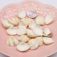 20x25 25x30mm natural shell irregular medium flower conch bead pendant 100g crafts diy jewelry making necklace accessories party