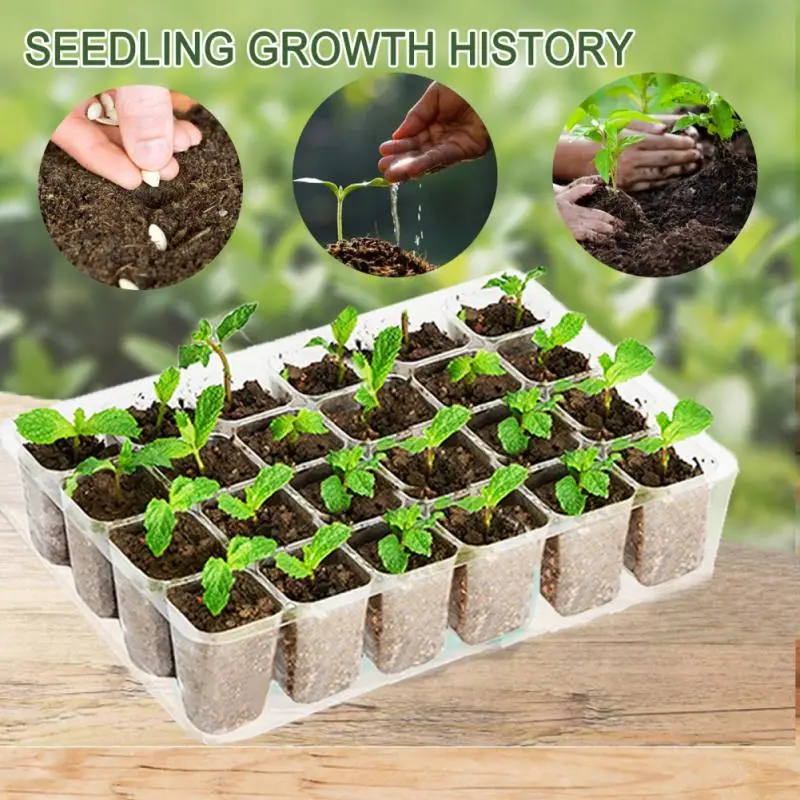 

5PCS 24 Holes Nursery Pot Garden Reusable Transparent Plastic Seedling Starter Growth Germination Tray For Home Garden Tools