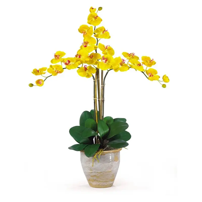 

Triple Phalaenopsis Silk Orchid Flower Arrangement, Yellow